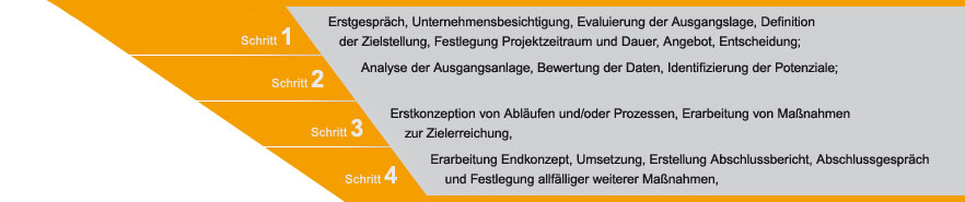 Methodik
