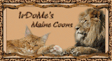 Irdome’s Maine Coon